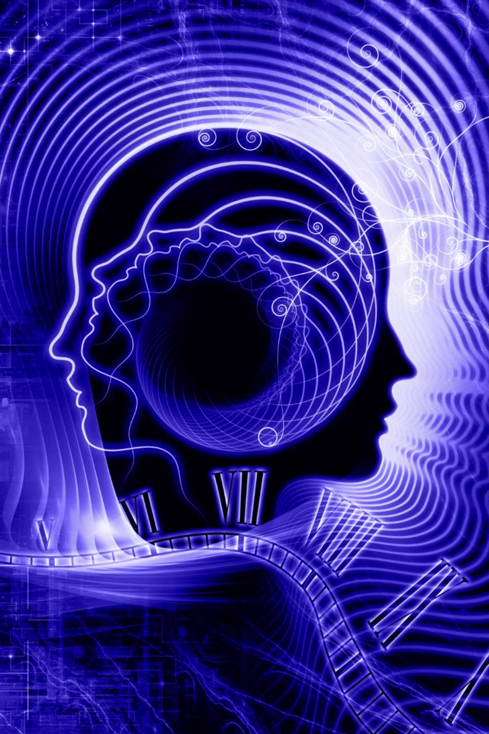 The Institute of Perceptionism